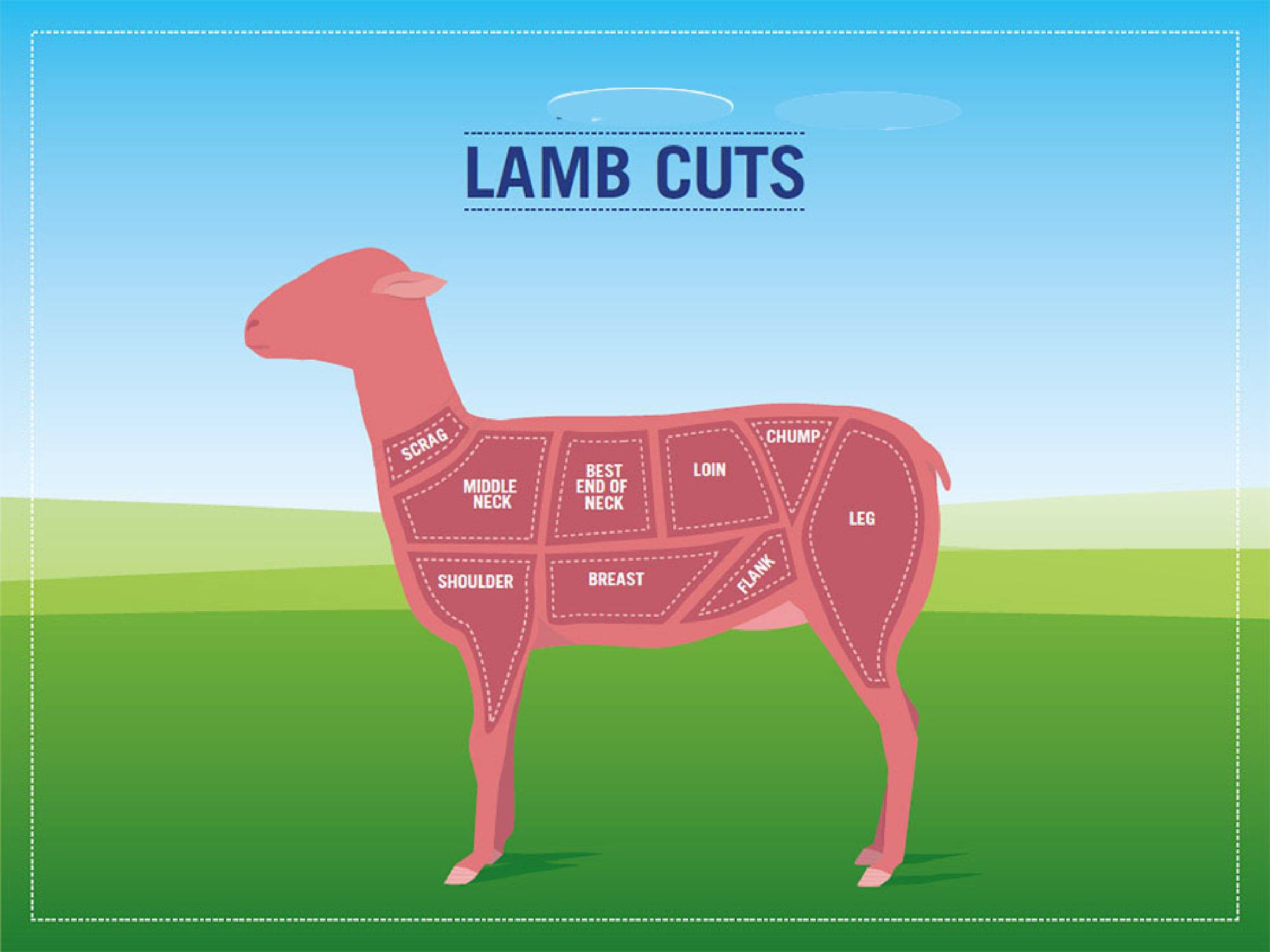 Lost life happy lamb. Ягненок фланк. Cut of the Lamb. Lamb loin (Chops) на белом фоне.